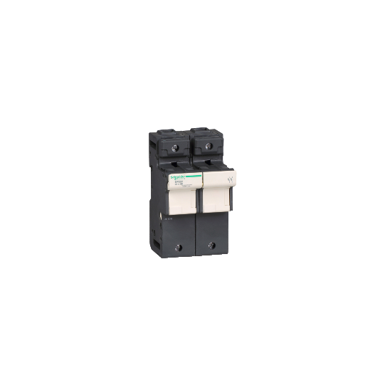 Schneider Electric TeSys Fuse carrier TeSys DF, 2P 125A, fuse size 22x58 mm - DF222