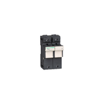 Schneider Electric TeSys Fuse carrier TeSys DF, 2P 125A, fuse size 22x58 mm - DF222