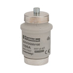 DIVGG50V100 – M217637 - DIVGG50V100