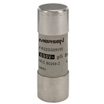 FR22GG69V80 – Q217180 - FR22GG69V80