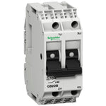 Schneider Electric TeSys Thermal magnetic circuit breaker, TeSys GB2, 2P, 4 A, Icu 3 kA@415 V - GB2DB09