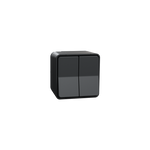 Schneider Electric Mureva Styl 2 Switch, Mureva Styl, complete product, 1-pole 2-way, electromechanical, 10AX, IP55, grey - MUR35022