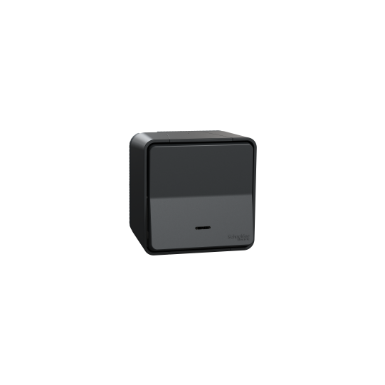 Schneider Electric Mureva Styl Switch, Mureva Styl, complete product, 1-pole 2-way, electromechanical, 10AX, LED, IP55, grey - MUR35024
