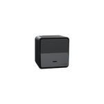 Schneider Electric Mureva Styl Switch, Mureva Styl, complete product, 1-pole 2-way, electromechanical, 10AX, LED, IP55, grey - MUR35024