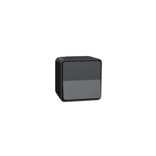 Schneider Electric Mureva Styl Switch, Mureva Styl, complete product, 2-pole 1-way, electromechanical, 16AX, IP55, grey - MUR35033