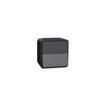 Schneider Electric Mureva Styl Switch, Mureva Styl, complete product, 2-pole 1-way, electromechanical, 16AX, IP55, grey - MUR35033