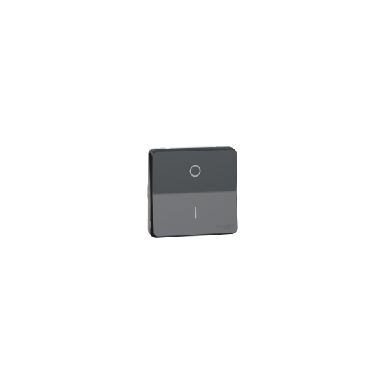 Schneider Electric Mureva Styl Switch, Mureva Styl, mechanism, 2-pole 1-way, electromechanical, 16AX, IP55, grey - MUR35034