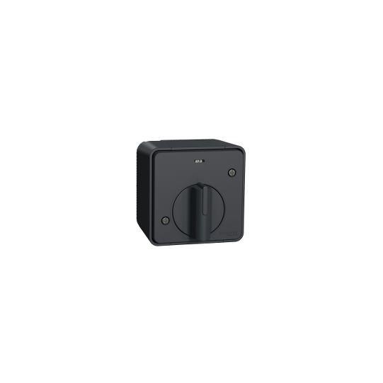 Schneider Electric Mureva Styl Mureva Styl - mechanical time delay switch - surface mounting - grey - MUR35067