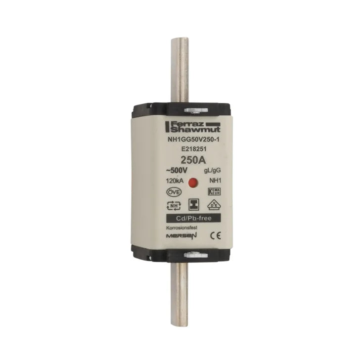 NH1GG50V250-1 – E218251 - NH1GG50V250-1