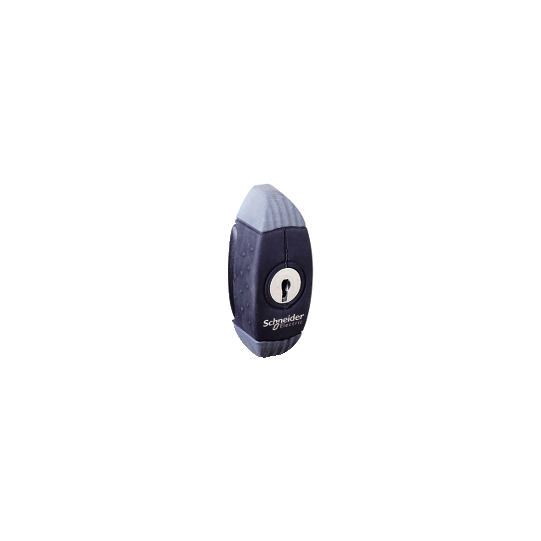 Schneider Electric Spacial Key handle with key 3524E for Spacial S3D encl. - NSYAEDL3524S3D