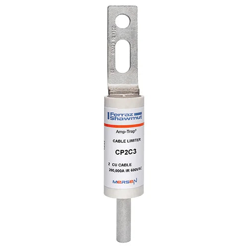CP2C3