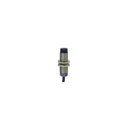 Schneider Electric SCHNEIDER Télémécanique - inductive sensor XS6 M18 - L60mm - brass - Sn12mm - 24..240VAC/DC - cable 5m - XS618B4MAL5