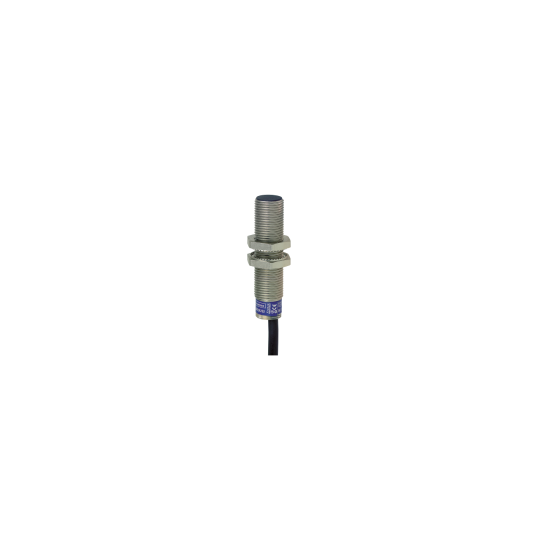Schneider Electric SCHNEIDER Télémécanique inductive sensor XS6 M12 - L54mm - brass - Sn4mm - 12..48VDC - cable 2m - XS612B1PAL2