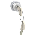 Schneider Electric SCHNEIDER keylock Profalux KS5 B24 D4Z, set of 1 part, keylock adapter not included - 42888