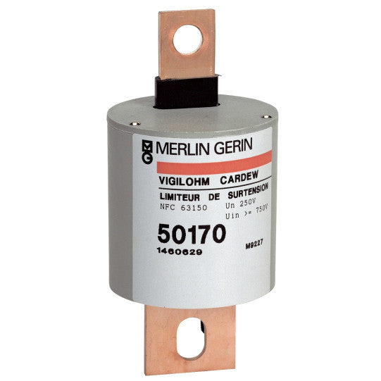 Schneider Electric Vigilohm cartridge Cardew - type C - 440 V - 50171