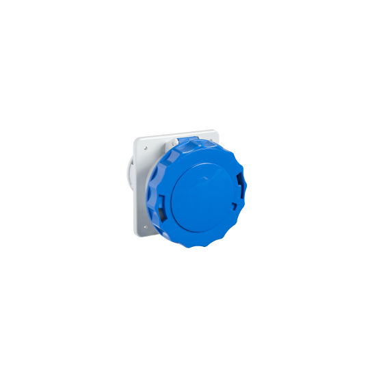 Schneider Electric PratiKa PratiKa industrial socket - 63 A - 2P + E - 200...250 V AC - IP67 - 81678