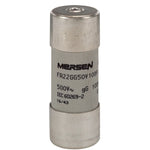 FR22GG50V100P – T217183 - FR22GG50V100P
