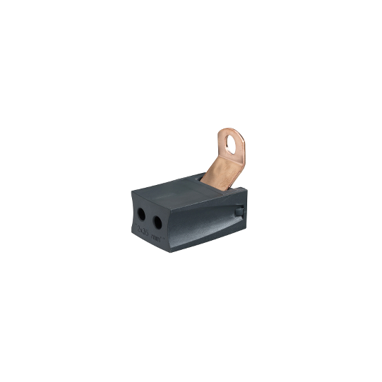 Schneider Electric Linergy Linergy DP - Bloc additionnel 35mm² 4P - LVS04155