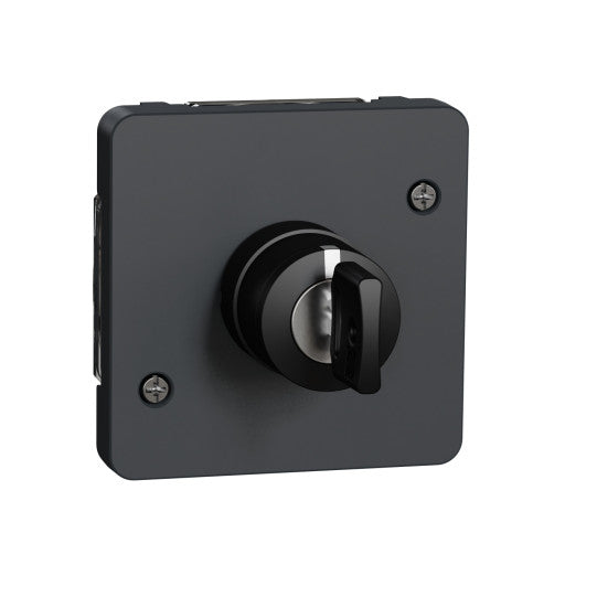 Schneider Electric Mureva Styl Key switch, Mureva Styl, mechanism, 3 positions, electromechanical, 3A, IP55, grey - MUR35061