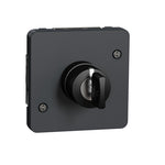 Schneider Electric Mureva Styl Key switch, Mureva Styl, mechanism, 3 positions, electromechanical, 3A, IP55, grey - MUR35061