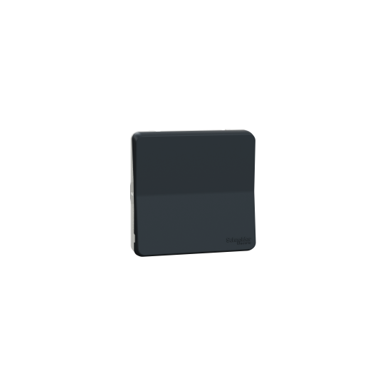 Schneider Electric Mureva Styl Switch, Mureva Styl, mechanism, 1-pole 2-way, electromechanical, 10AX, IP55, grey - MUR37021
