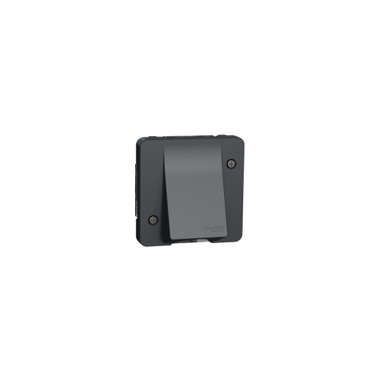 Schneider Electric Mureva Styl Mureva Styl - cable outlet - surface & flush mounting - grey - MUR37931