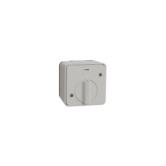 Schneider Electric Mureva Styl Mureva Styl - mechanical time delay switch - surface mounting - white - MUR39067