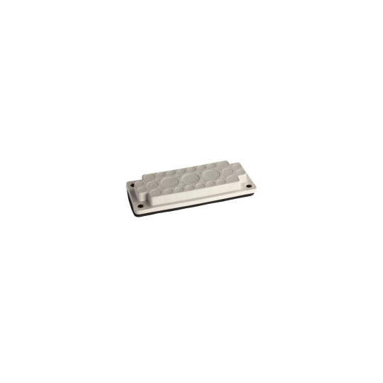Schneider Electric Spacial Spacial - membrane - type FL21 A - 33 entrées de câbles - NSYAECPFLA33