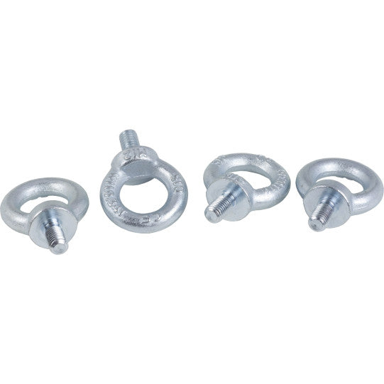 Schneider Electric Spacial set of 4 Spacial SF M12 lifting eyebolt - galvanized cast steel - NSYSFEB