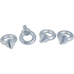 Schneider Electric Spacial set of 4 Spacial SF M12 lifting eyebolt - galvanized cast steel - NSYSFEB