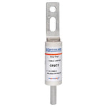 CP2C3