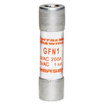 GFN1