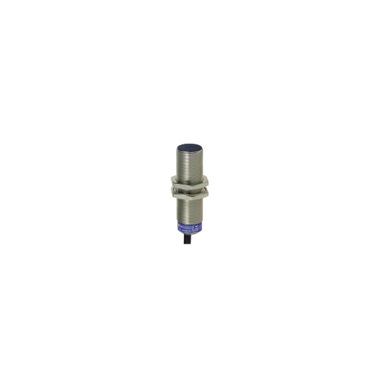 Schneider Electric SCHNEIDER Télémécanique - inductive sensor XS6 M18 - L62mm - brass - Sn8mm - 12..48VDC - cable 2m - XS618B1PAL2