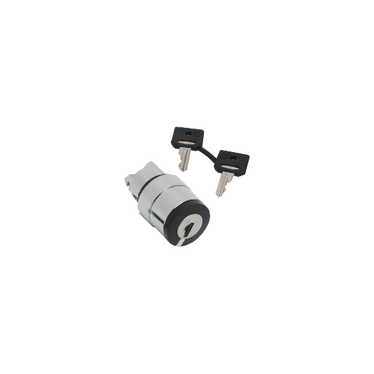 Schneider Electric SCHNEIDER SELECTOR SWITCH WITH 421E KEY - ZB4BG212