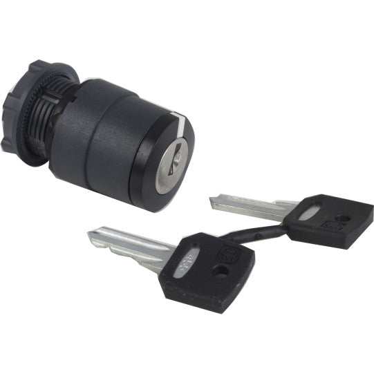 Schneider Electric SCHNEIDER selector switch head Ø22 2-position stay put Ronis 455 - ZB5AG2