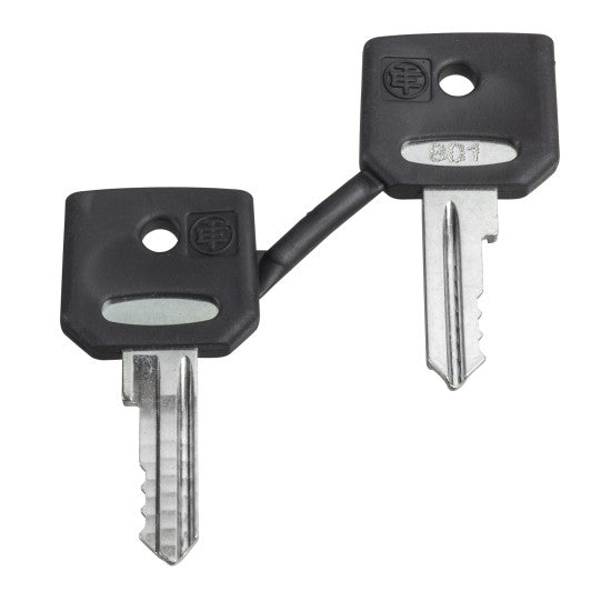 Schneider Electric SCHNEIDER set of 2 keys 3131A - ZBG3131A