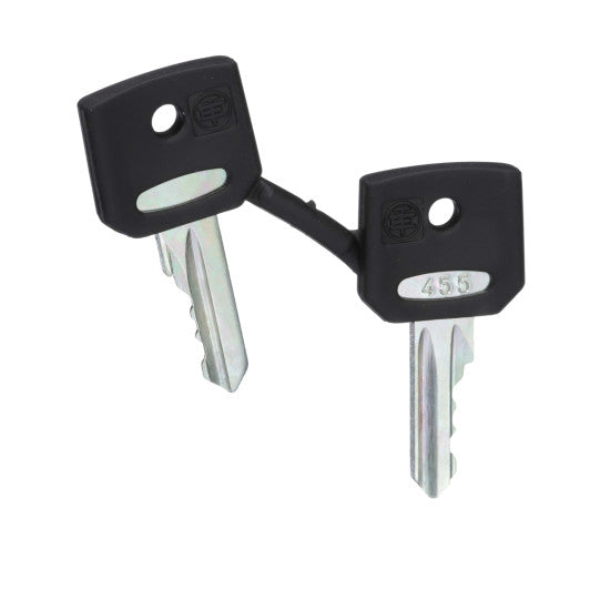 Schneider Electric SCHNEIDER set of 2 keys 455 - ZBG455