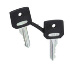 Schneider Electric SCHNEIDER set of 2 keys 455 - ZBG455