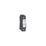 Schneider Electric TeSys Fuse carrier TeSys DF, 1P 32A, fuse size 10x38 mm, blown fuse indicator - DF101V