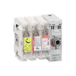 Schneider Electric TeSys TeSys GS - switch-disconnector-fuse - 3 P - 50A - NFC 14 x 51 mm - GS2F3