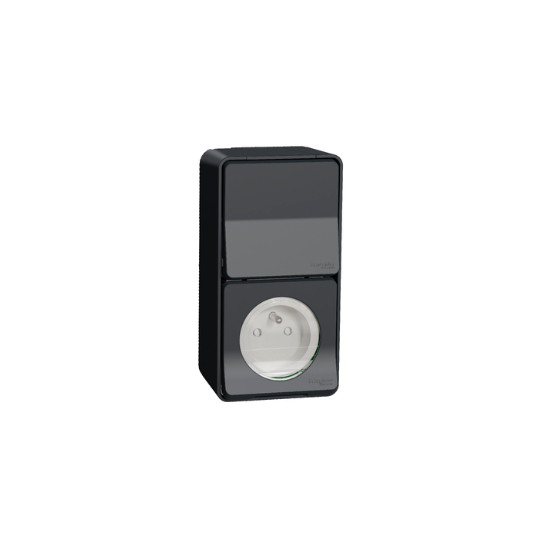 Schneider Electric Mureva Styl Switch and socket-outlet, Mureva Styl, complete product, 2P + E, 10AX, French IP55 grey - MUR36025