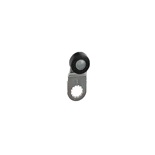 Schneider Electric SCHNEIDER Télémécanique - Limit switch lever ZCY - thermoplastic roller lever - ZCY18